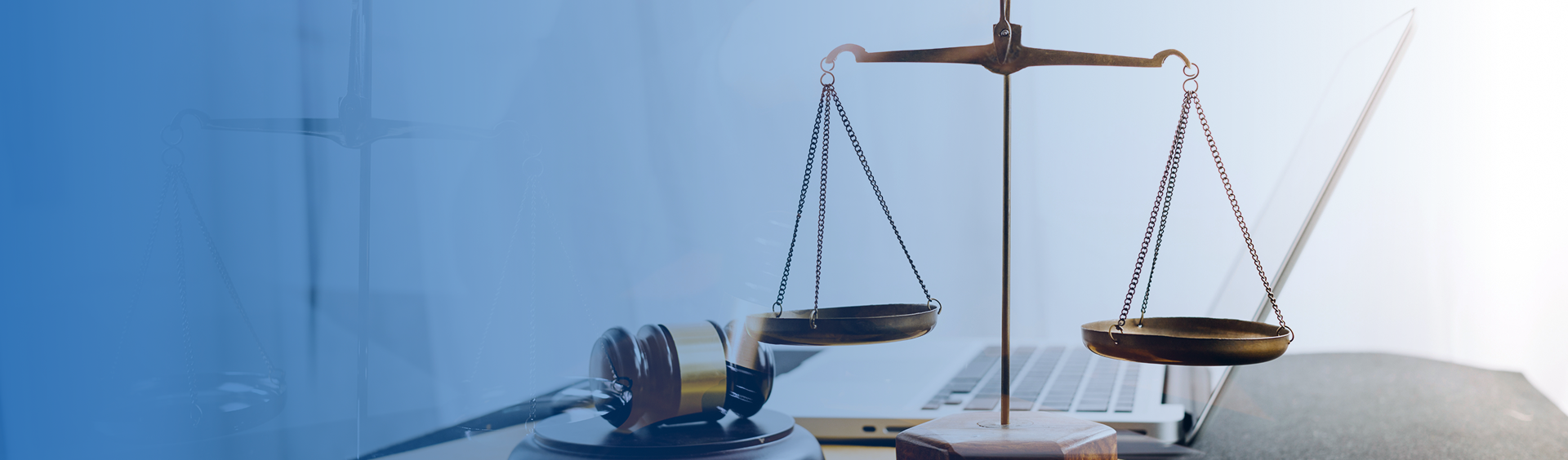 投诉举报渠道信息公告